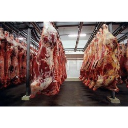 Et Üreten Tarımsal İşletmelere Yatırım